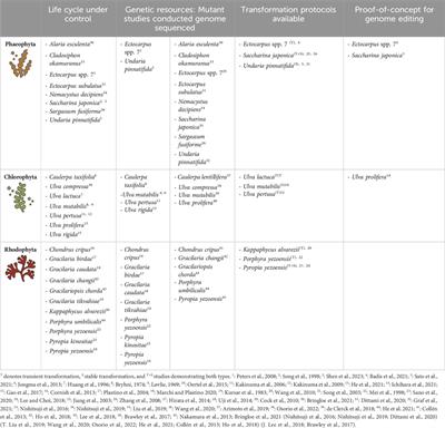 Genome editing in macroalgae: advances and challenges